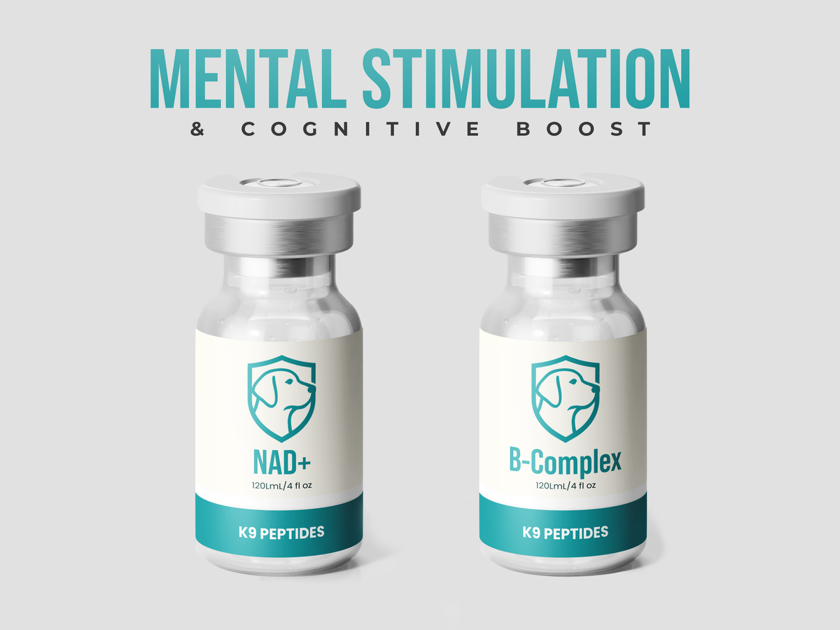 Mental Stimulation & Cognitive Boost Package